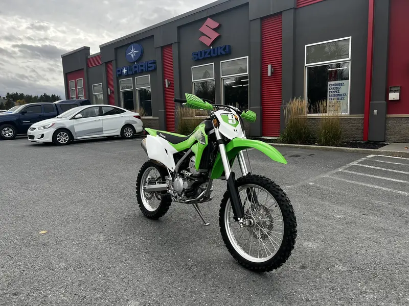 2020 Kawasaki KLX 300 R R21RSZ99AC