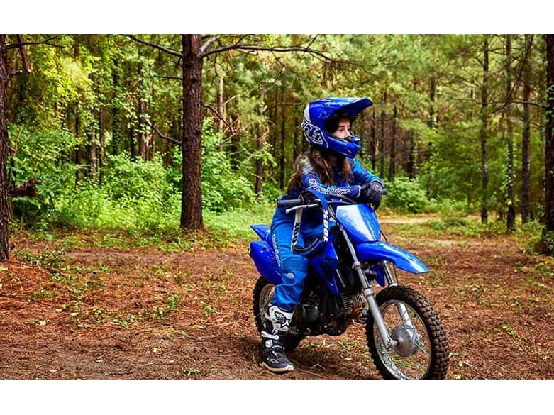 Yamaha Ttr110 2025 alt
