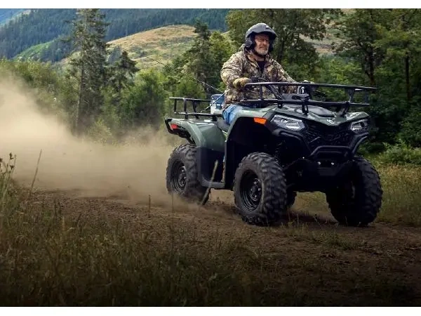 2026 Cfmoto Cforce 400 Classic alt