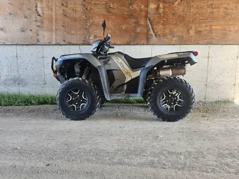 Honda RINCON DCT IRS 520 2025