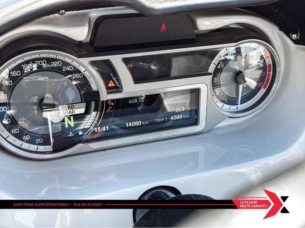 Campagna T-rex 16s 2017 alt