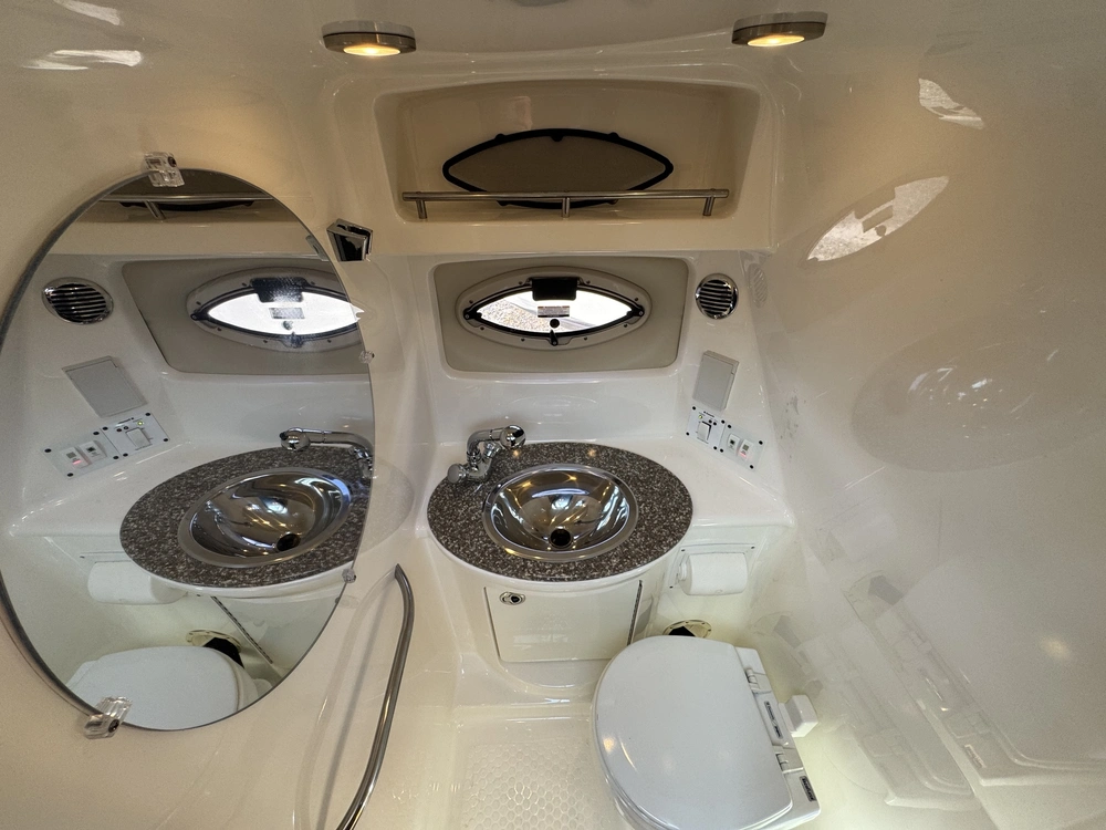 2009 Chaparral 250 Signature alt