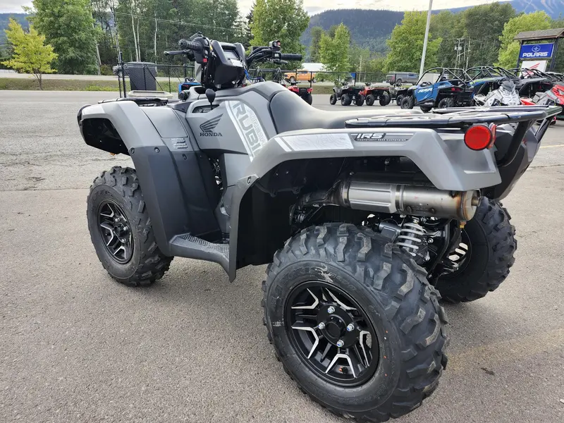 2026 Honda Rubicon 520 DCT Deluxe