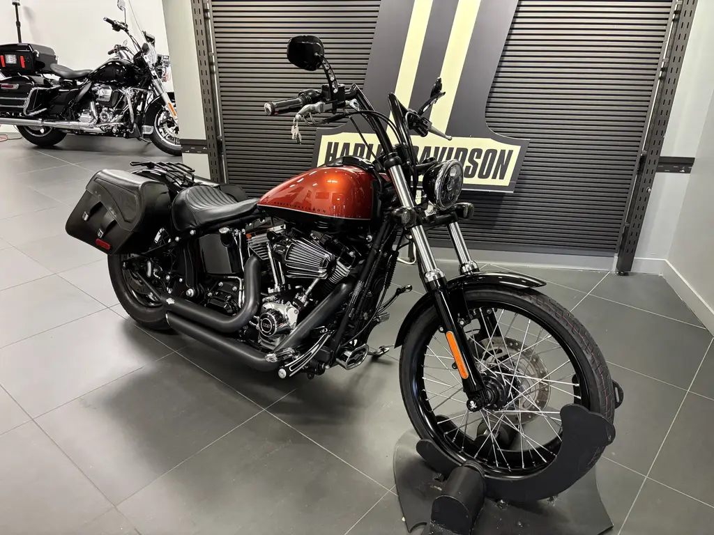 Harley-Davidson SOFTAIL BLACKLINE FXSFXS 2011