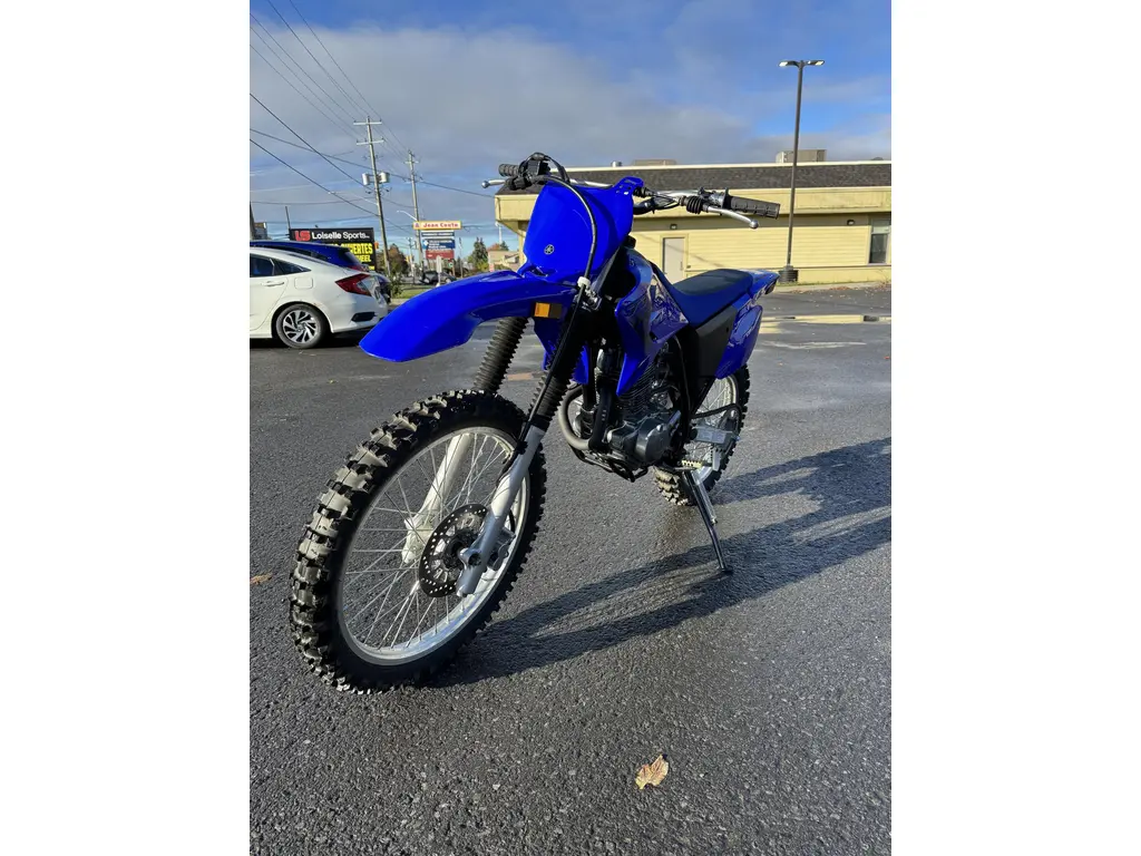 2024 yamaha TTR 230