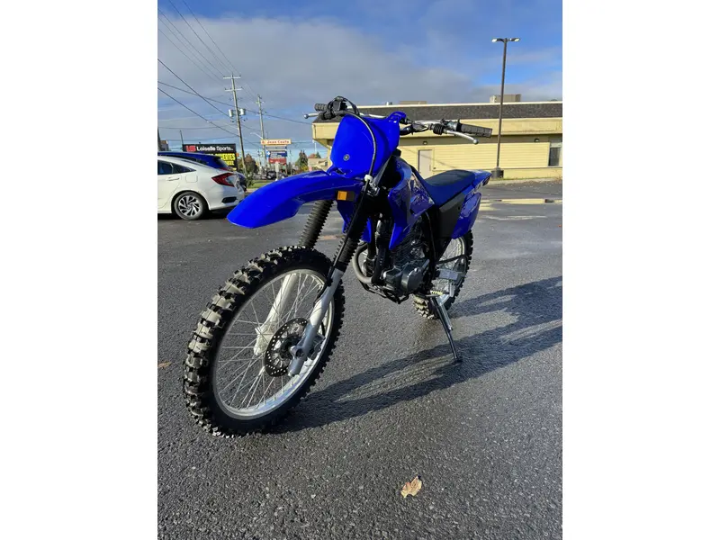 2024 yamaha TTR 230