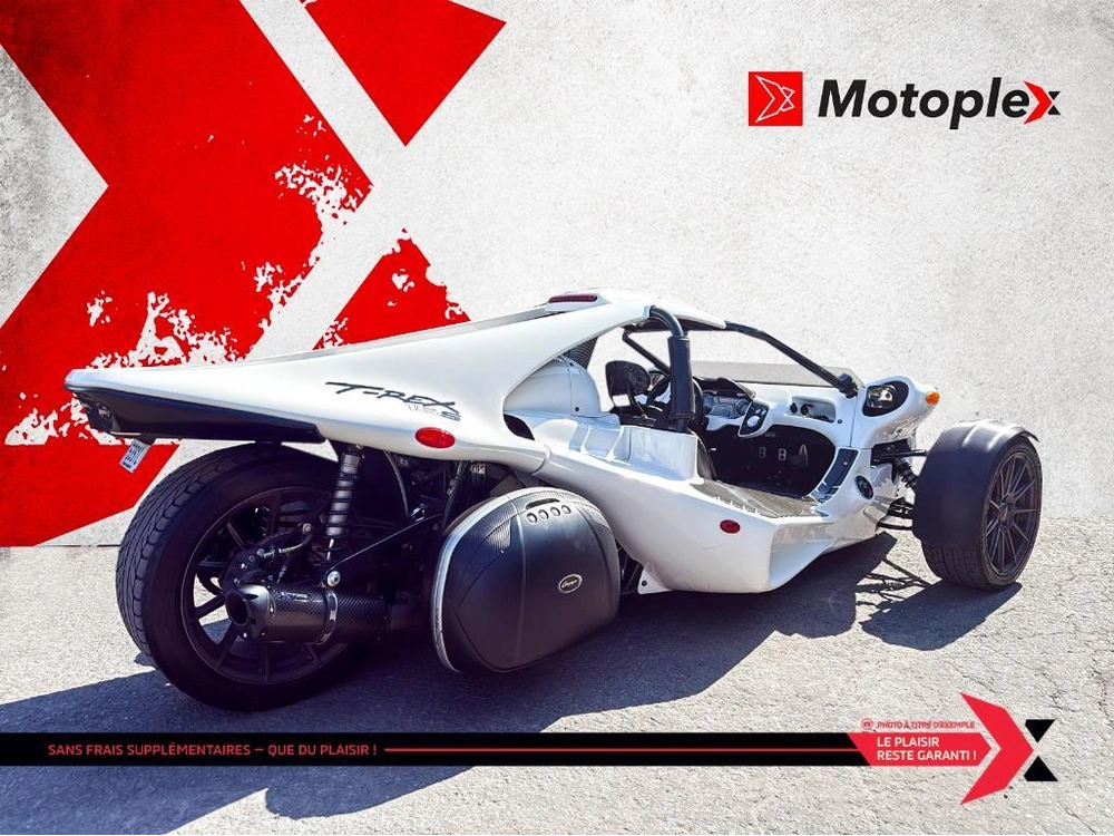 2017 Campagna T-rex 16s alt