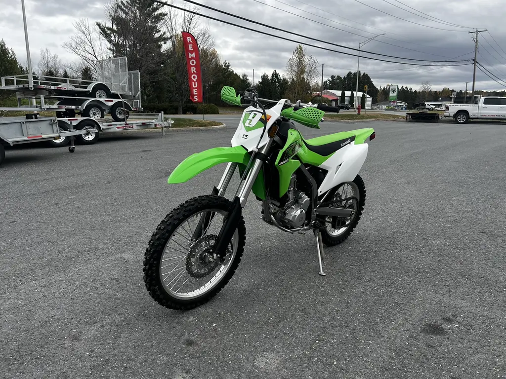 2020 Kawasaki KLX 300 R R21RSZ99AC