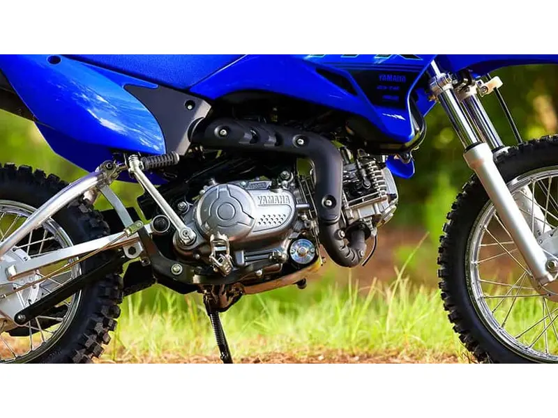2025 Yamaha TTR110