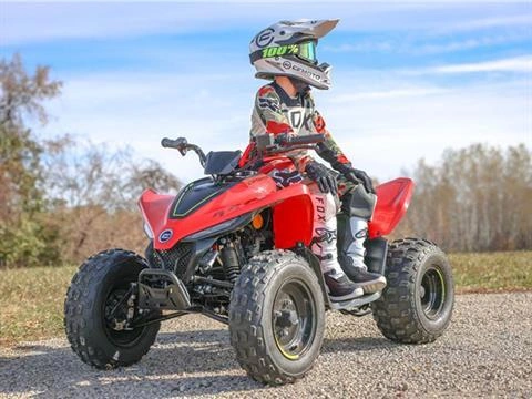 2026 Cfmoto Cforce 110 Classic alt