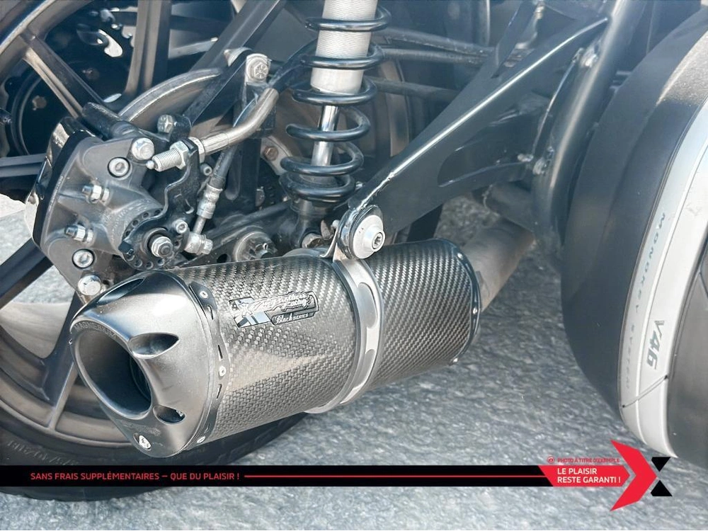 2017 Campagna T-rex 16s alt