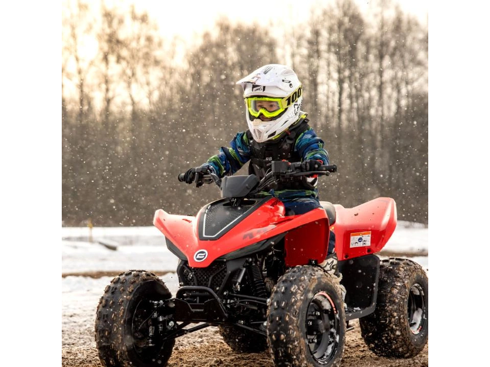 2026 Cfmoto Cforce 110 Classic alt