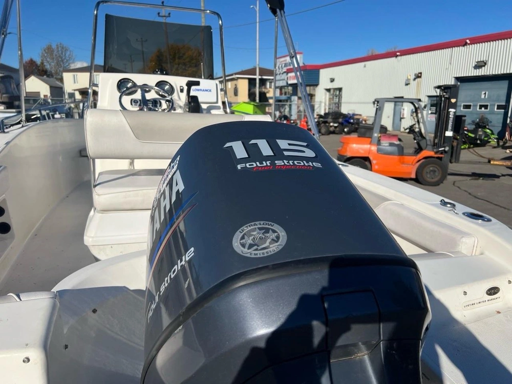 Larson 19cc Fincraft 2011 alt