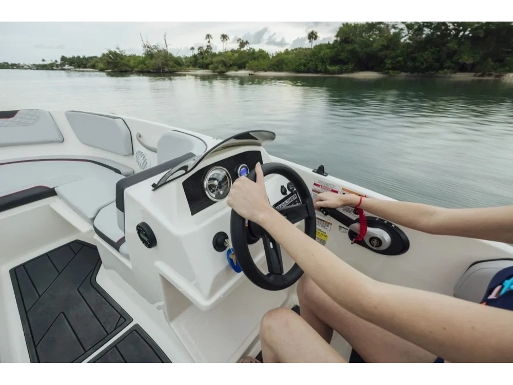 2025 Bayliner 150el Element alt