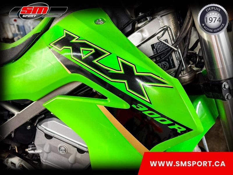 Kawasaki Klx 300r 2022 alt