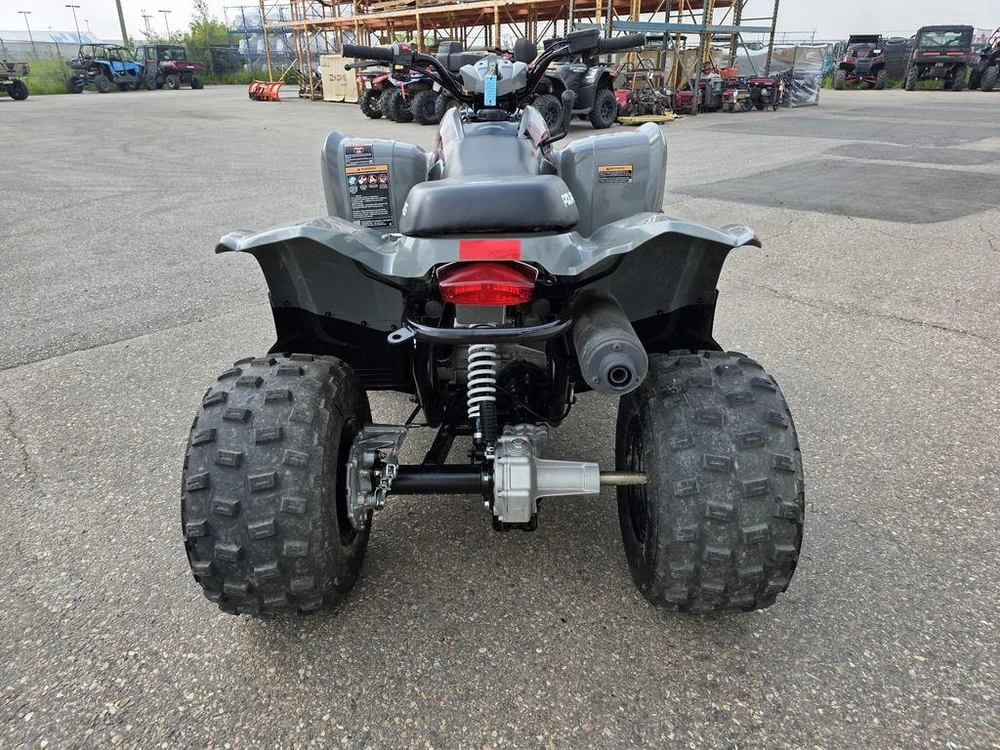 2022 Polaris Phoenix 200 alt