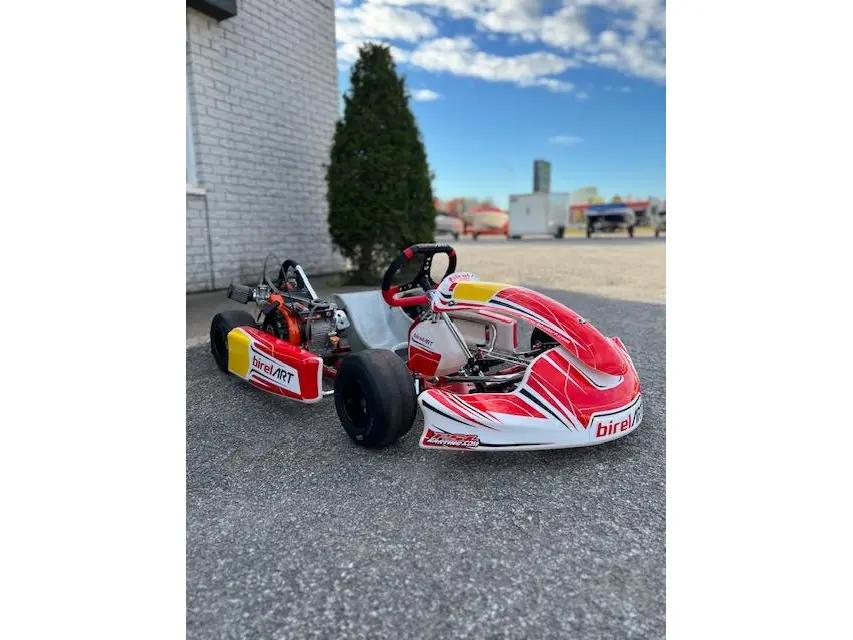 BRIG BIREL ART S-16 MINI 2024 - BRIGGS & STRATTON 206