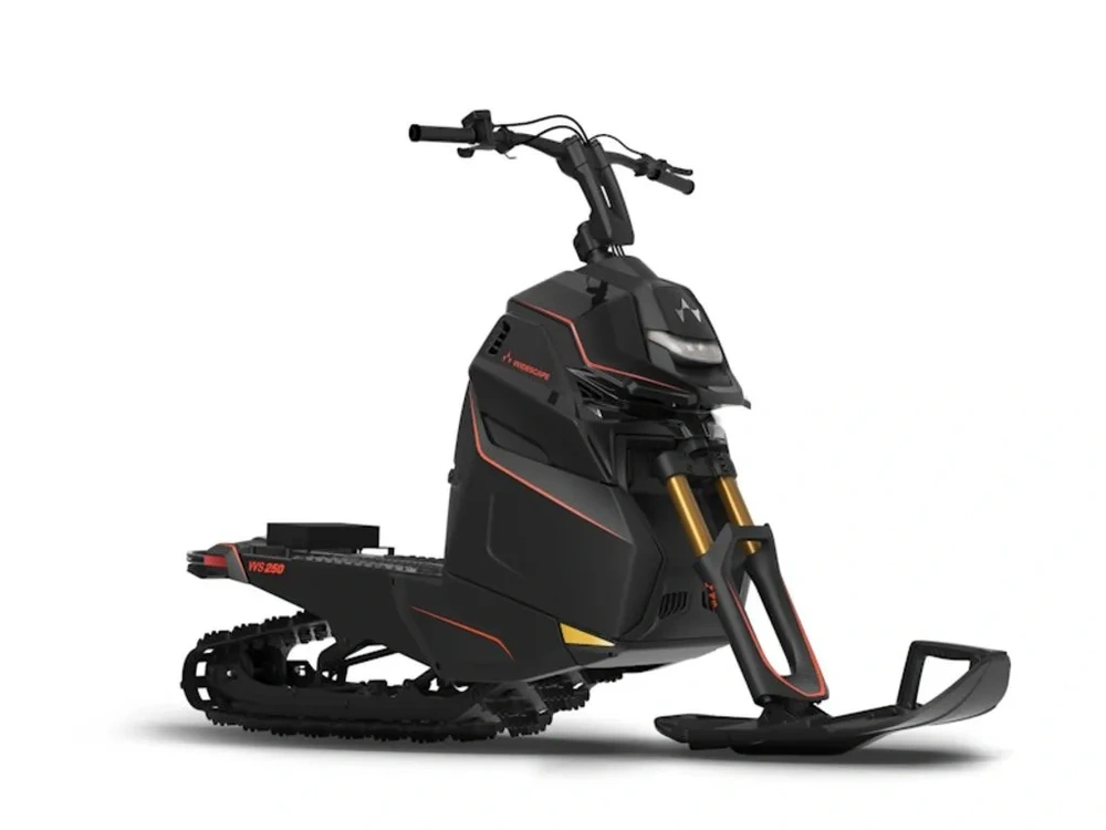 2024 Widescape Ws250 alt