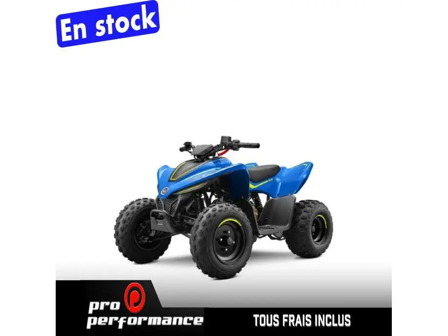 2026 CFMOTO CFORCE 110 CLASSIC 