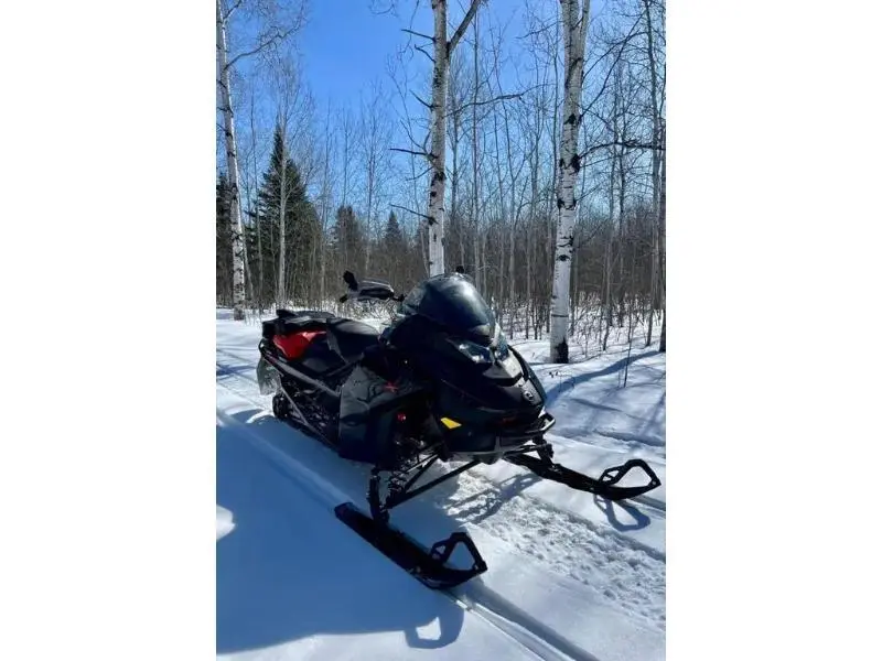 2024 Ski-Doo MXZ X 137 850 E-TEC RipSaw 1.25'' E.S. 