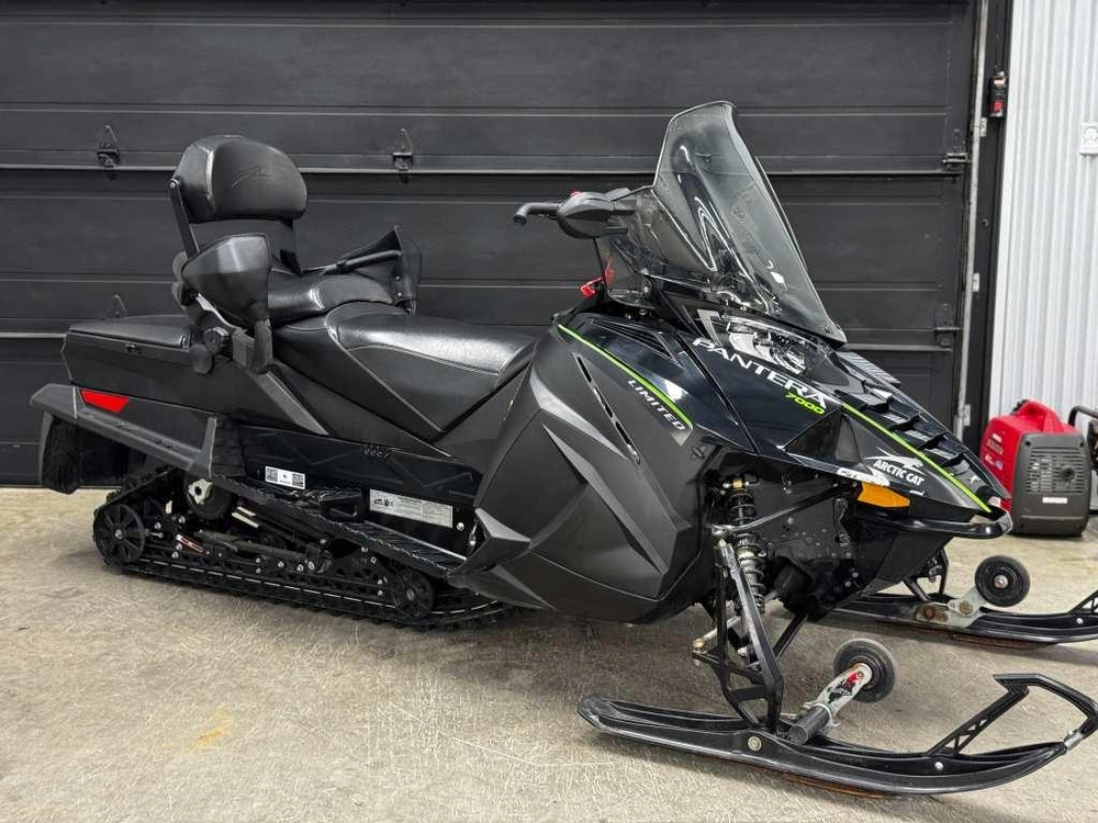 Arctic Cat Pantera 2019 alt