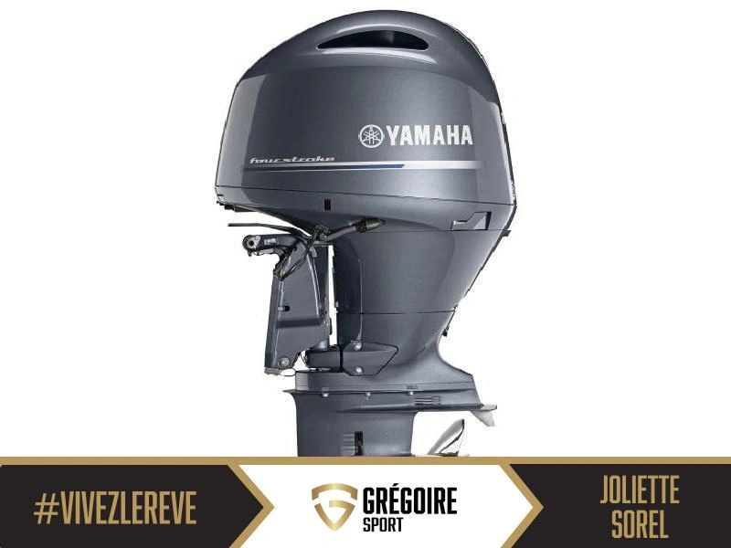 2024 Yamaha F150lc alt