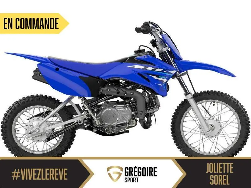 Yamaha Tt-r110 2026 alt