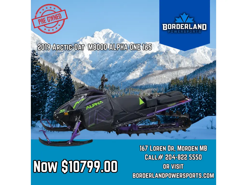 2019 Arctic Cat M8000 ALPHA ONE 165