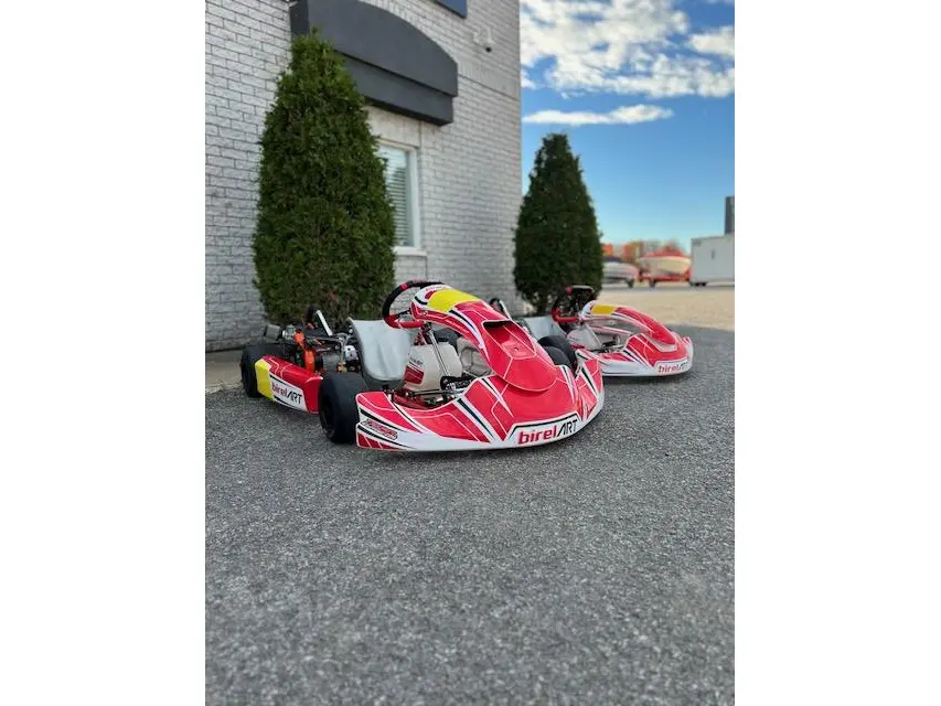 BRIG KART BIREL ART 4T 2024 - BRIGGS & STRATTON 206