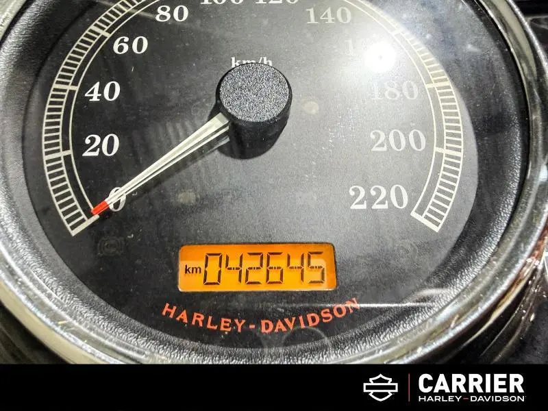 2016 Harley-Davidson Moto Harley-Davidson SOFTAIL SLIM 2016 thumbnail 8