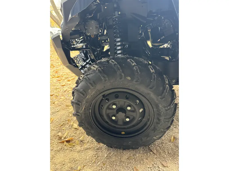 2025 Kawasaki BRUTE FORCE 450 thumbnail 10