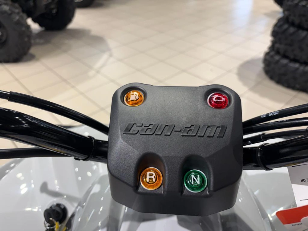 Can-am Renegade 110 Efi 2026 alt