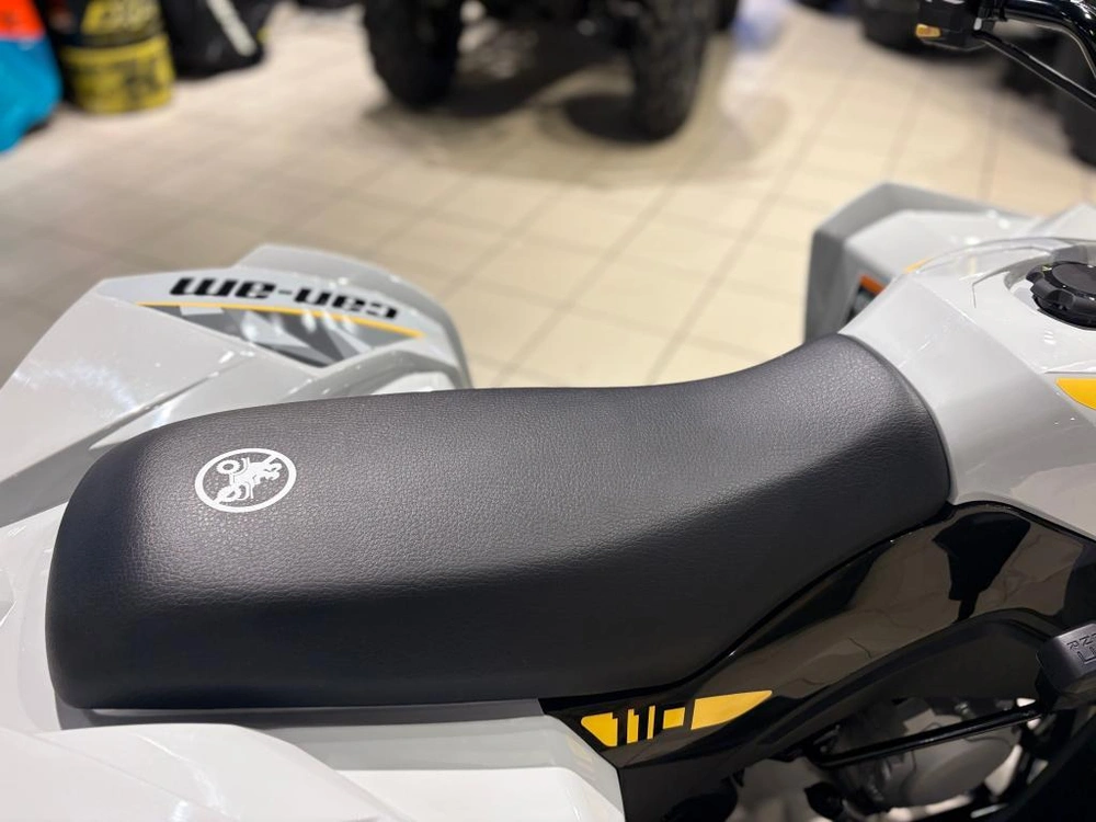 Can-am Renegade 110 Efi 2026 alt