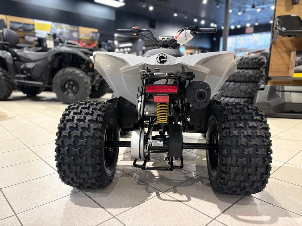 Can-am Renegade 110 Efi 2026 alt