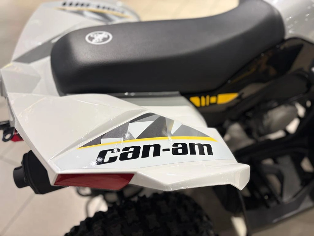 Can-am Renegade 110 Efi 2026 alt