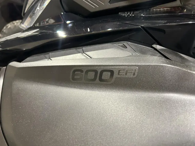 2026 Ski-Doo SKANDIC LE 20'' 600 EFI Silent Cobra 1.5'' E.S.