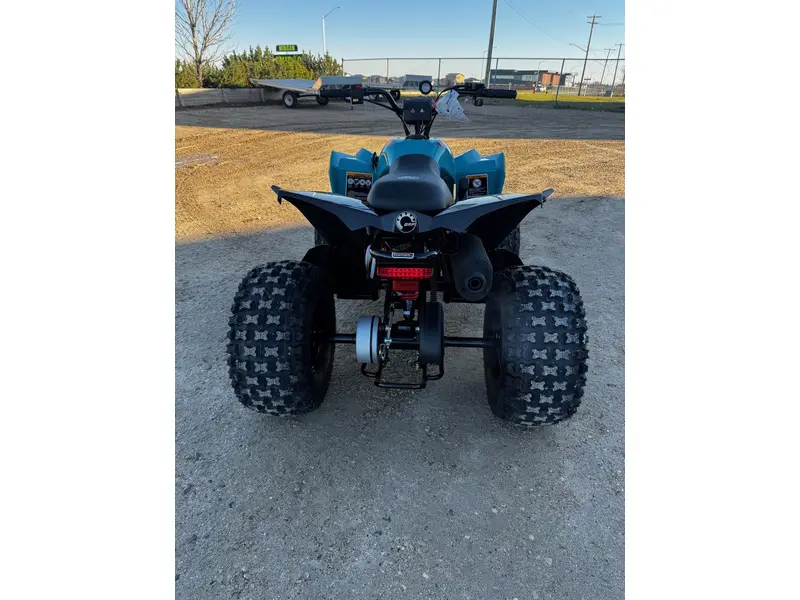 2026 Can-Am RENEGADE 110 EFI