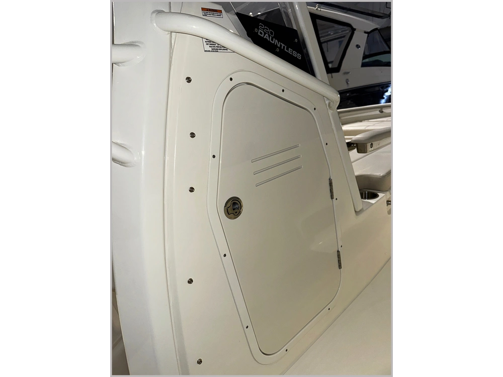 2025 Boston Whaler 220 Dauntless alt