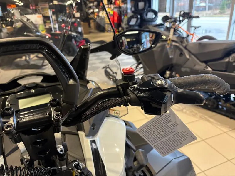 2026 Ski-Doo SKANDIC LE 24'' 900 ACE Silent Cobra 1.5'' E.S.