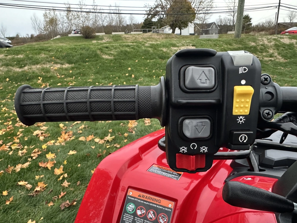 2024 Honda Rubicon 700 Irs alt