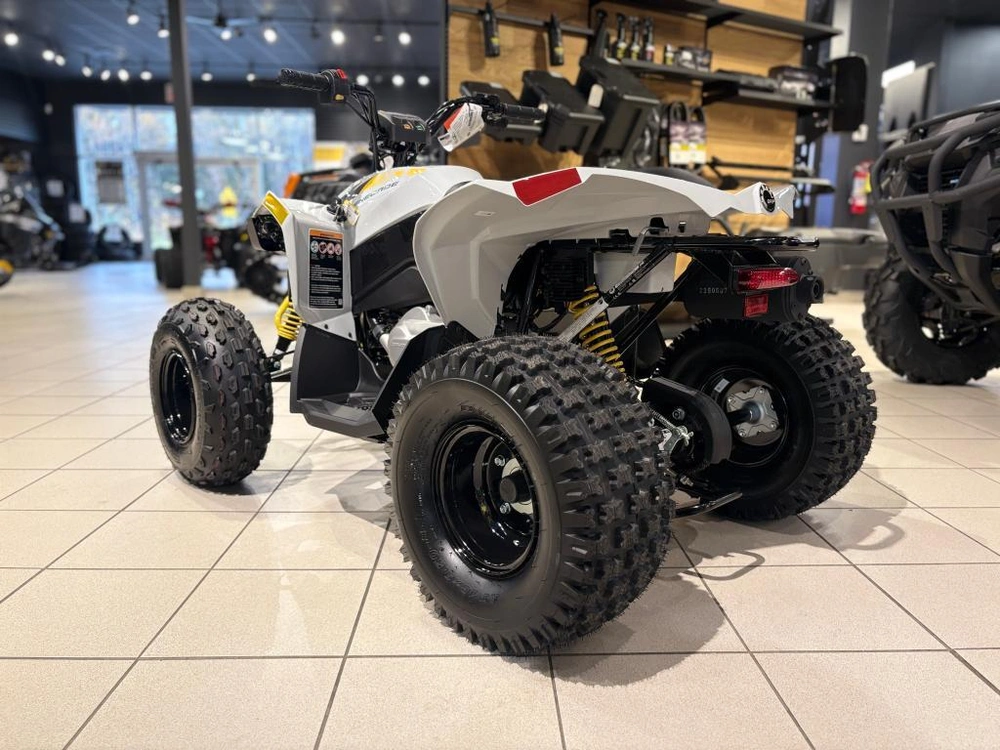 Can-am Renegade 110 Efi 2026 alt