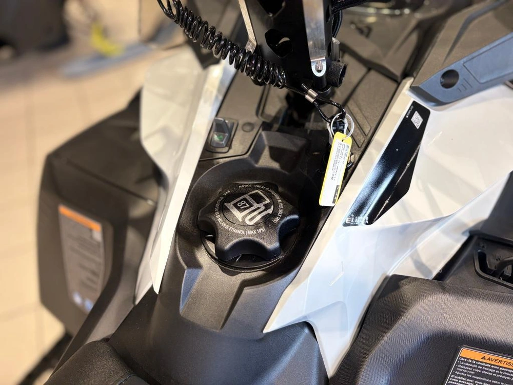 Ski-doo Skandic Le 20'' 600 Efi Silent Cobra 1.5'' E.s. 2026 alt