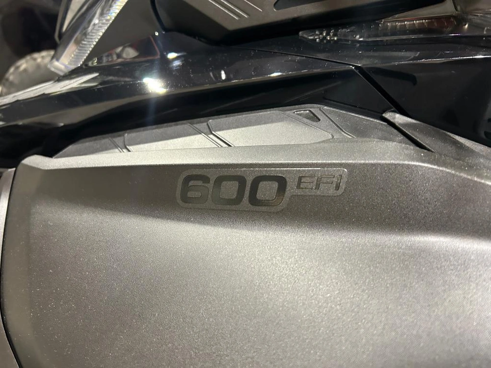 Ski-doo Skandic Le 20'' 600 Efi Silent Cobra 1.5'' E.s. 2026 alt