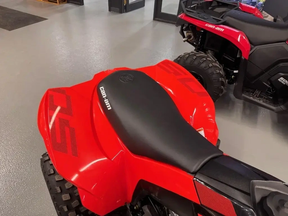 Can-am Ds 250 2026 alt