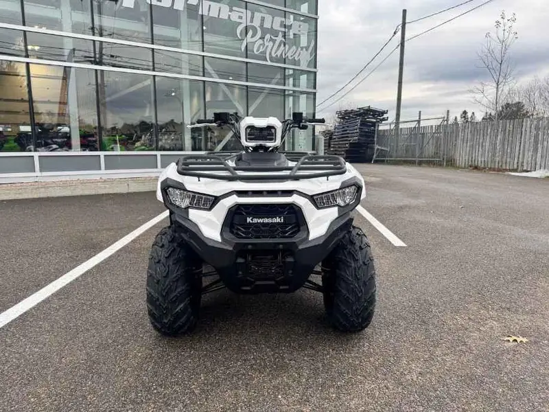 2025 Kawasaki BRUTE FORCE 450 thumbnail 2