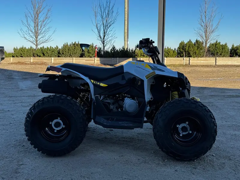 2026 Can-Am RENEGADE 110 EFI