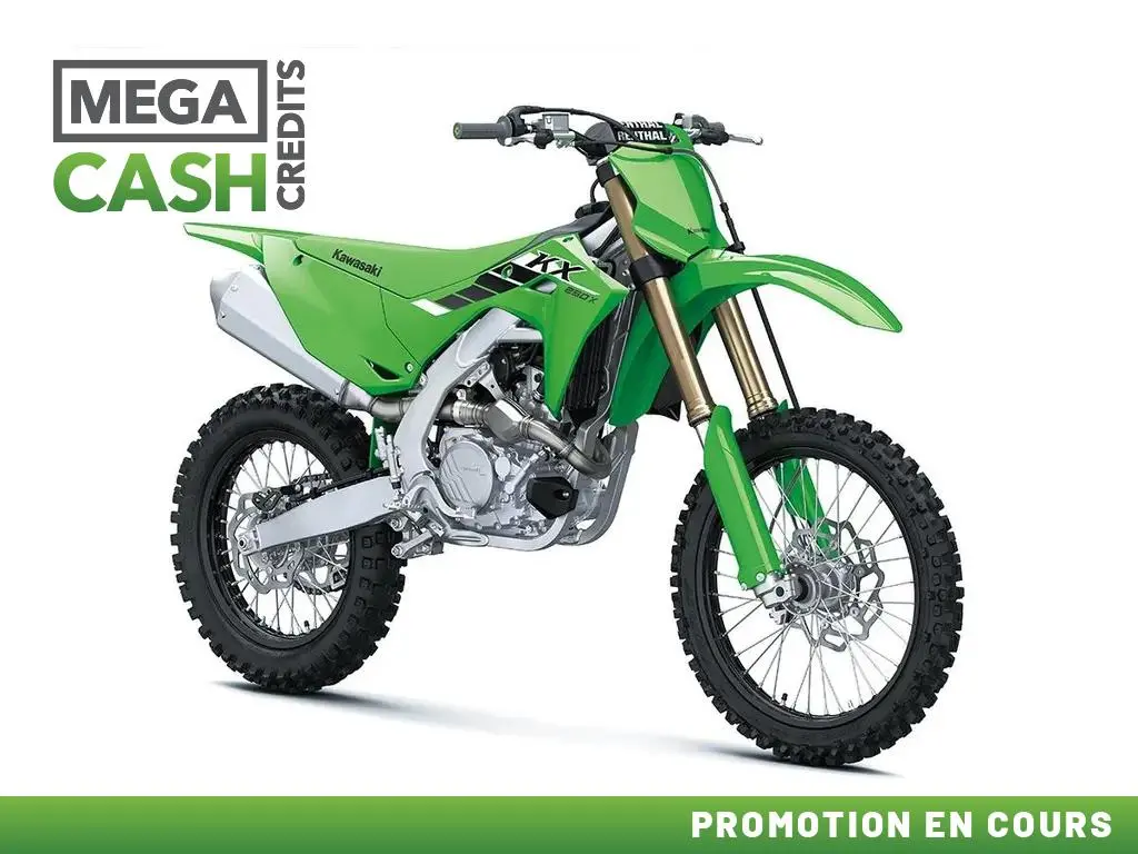 Kawasaki KX 250  2025