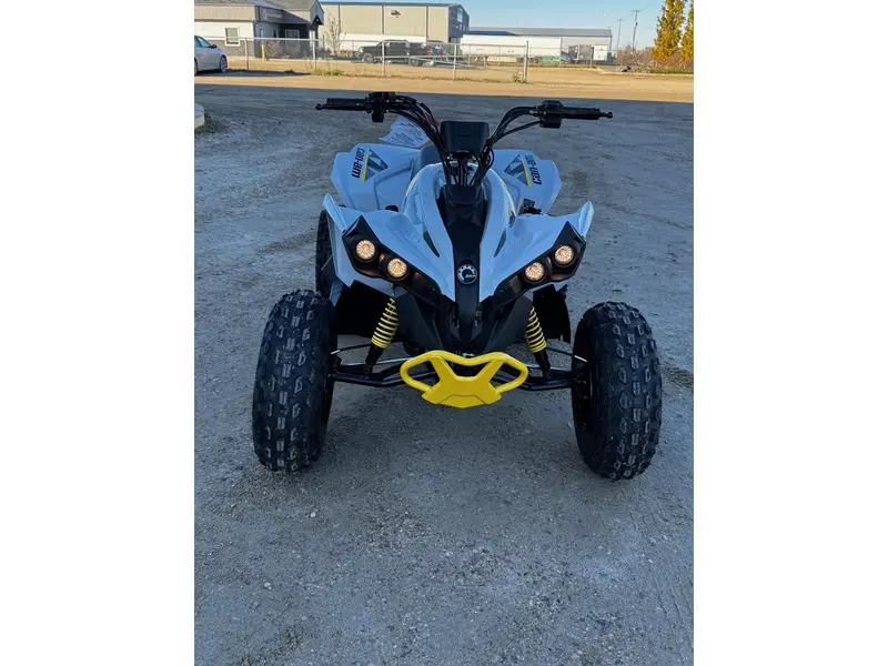 2026 Can-Am RENEGADE 110 EFI