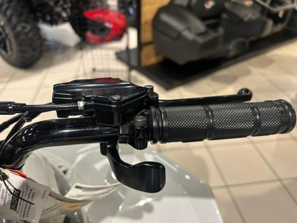 Can-am Renegade 110 Efi 2026 alt