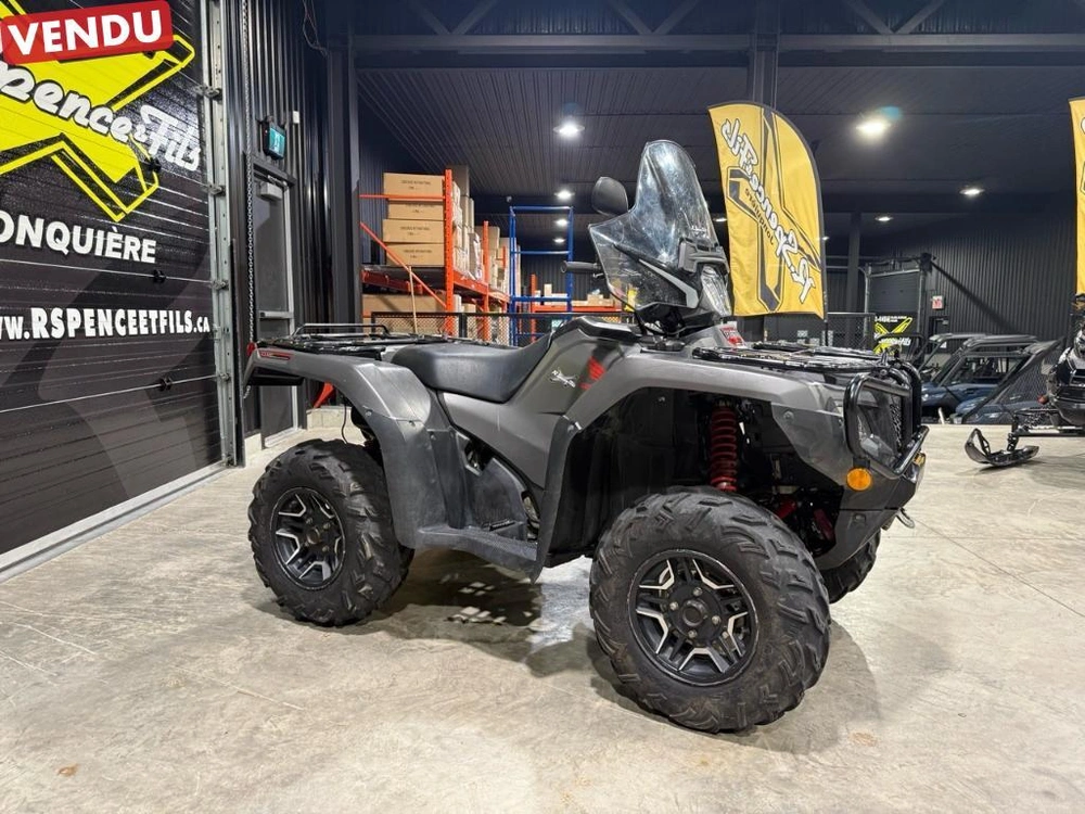 Honda Rubicon 500 2019 alt